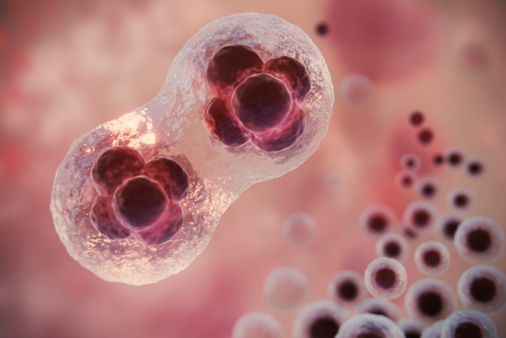 Η πρωτεΐνη που θα τρώει τα κύτταρα που μας αρρωσταίνουν