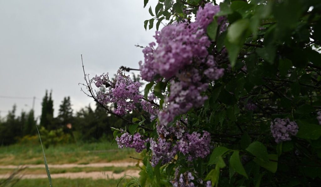 Καλοκαιρινό το Σαββατοκύριακο με ζέστη και ηλιοφάνεια – Βροχές και καταιγίδες από τη Δευτέρα στα ηπειρωτικά