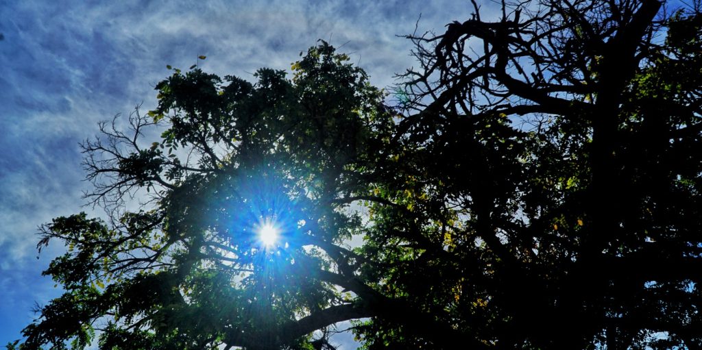 Αίθριος σήμερα ο καιρός με τοπικές νεφώσεις – Η πρόγνωση της ΕΜΥ για όλη τη χώρα