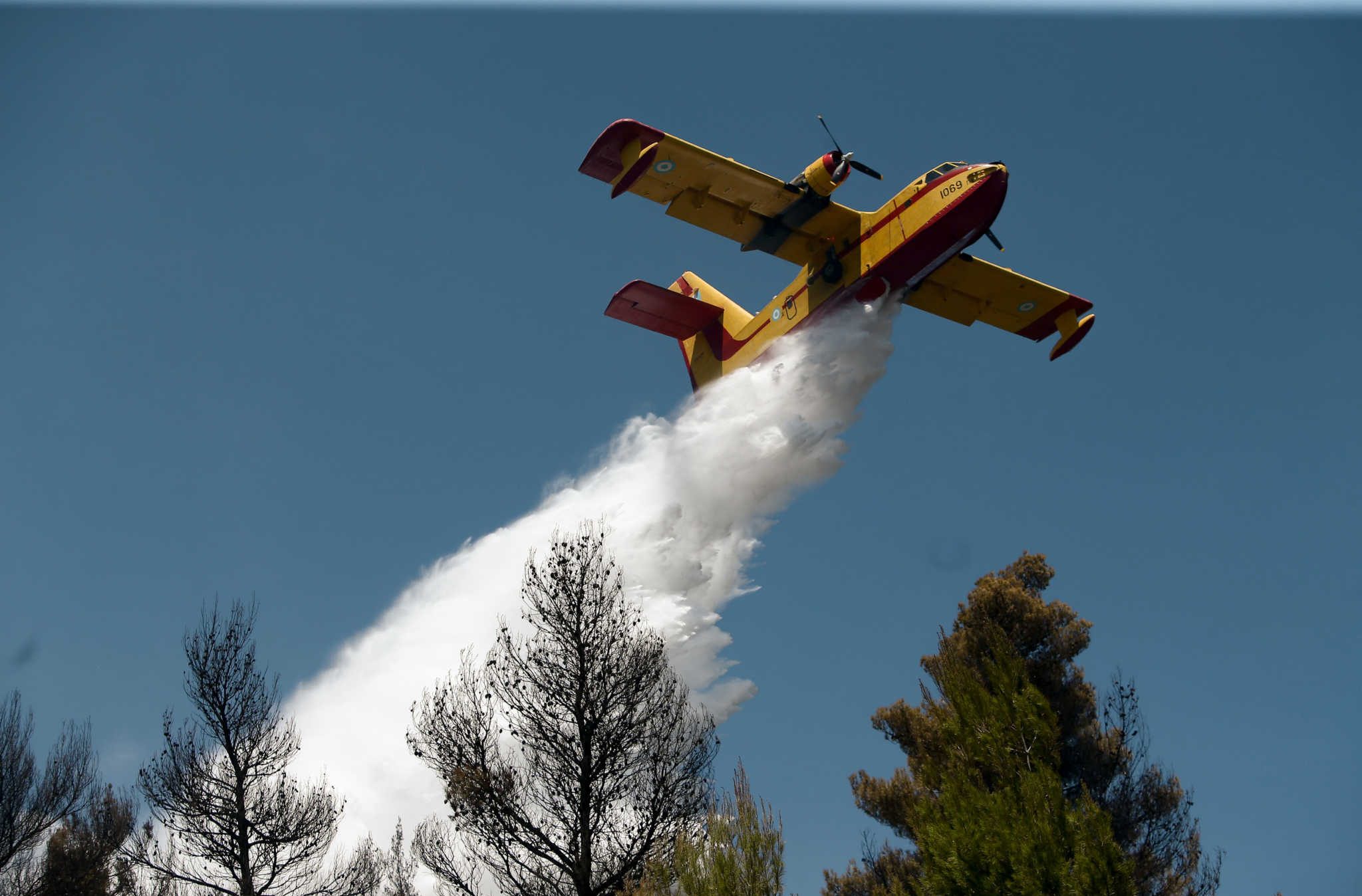 Πυρκαγιά στον Έβρο: Κινητοποιήθηκαν 35 πυροσβέτες και εναέρια μέσα