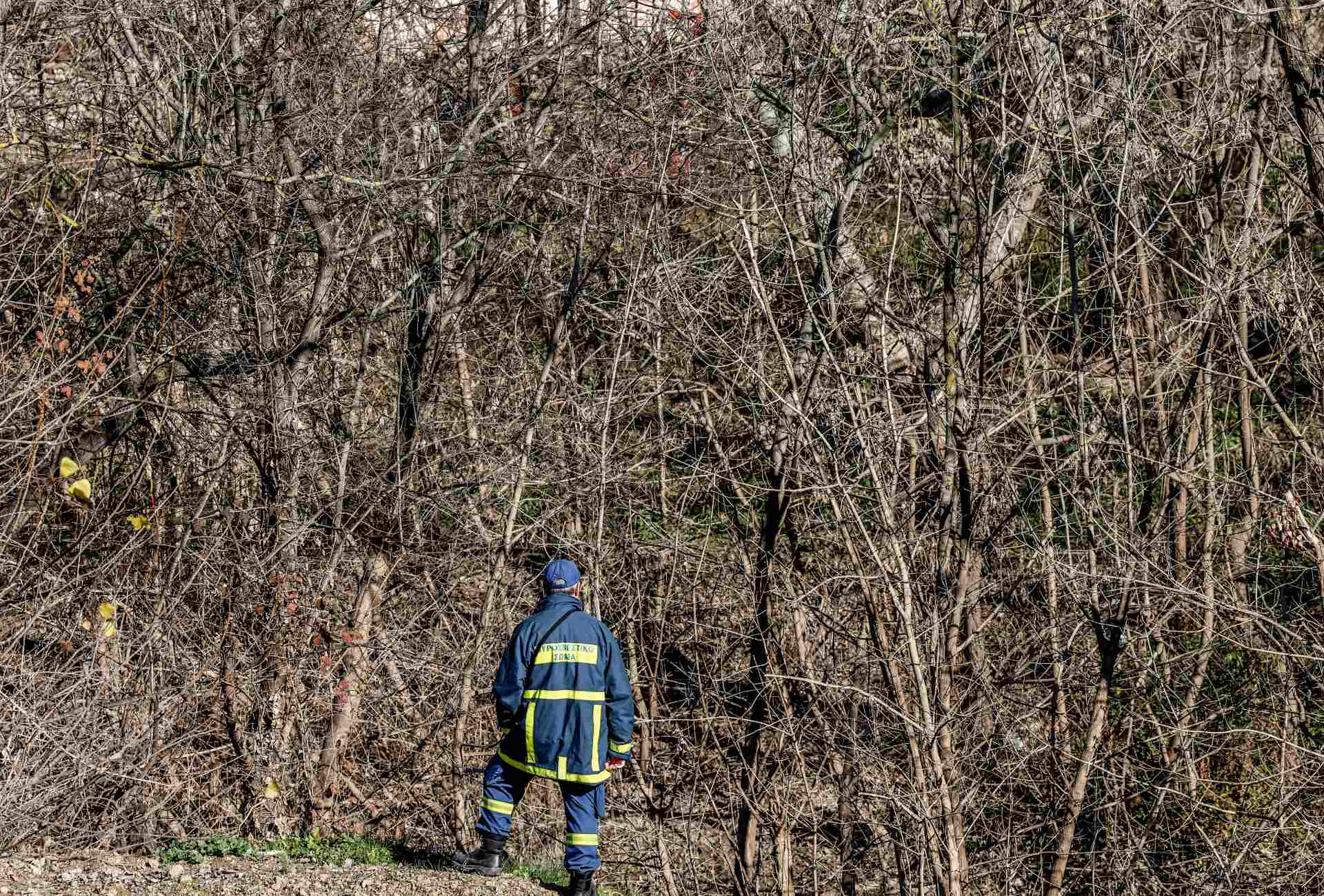 Τραγωδία στα Ιωάννινα: 81χρονος εντοπίστηκε νεκρός στο δάσος της Αρτοπούλας