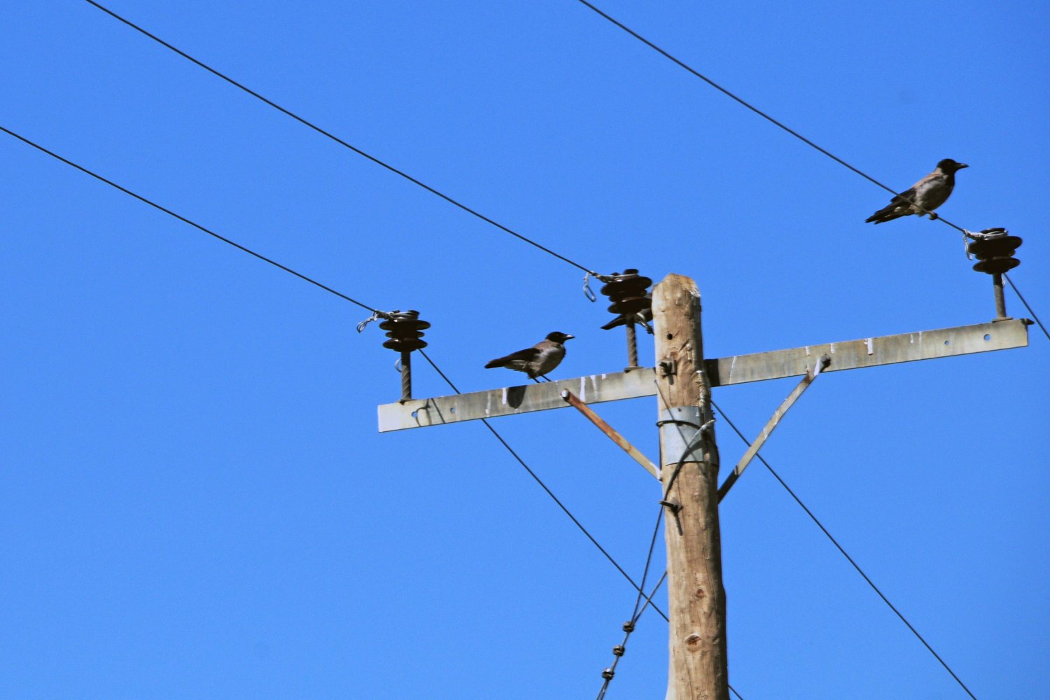 Ξαφνικό «μπλάκ άουτ» στο Μαρούσι: Προβλήματα στην περιοχή γύρω από το ΟΑΚΑ