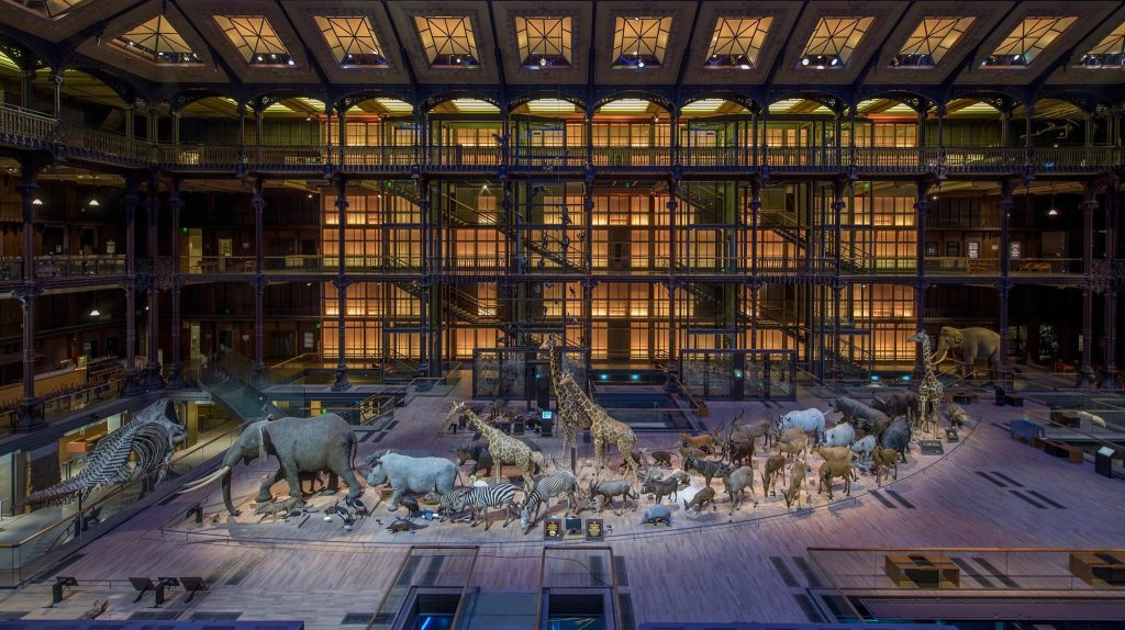 Γαλλία: Στοχευμένη επίθεση στο Εθνικό Μουσείο Φυσικής Ιστορίας – Έκλεψαν πάνω από 600.000 ευρώ σε χρυσό