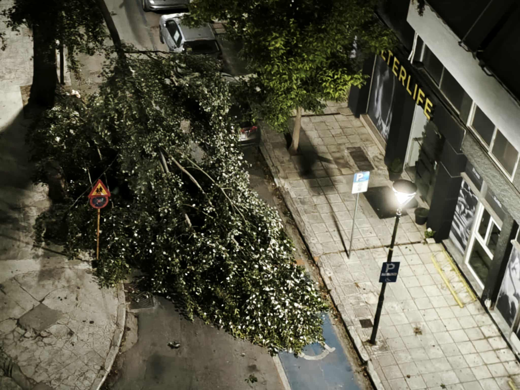 «Σάρωσαν» τον Βόλο οι ισχυροί άνεμοι: Πτώσεις δέντρων προκάλεσαν ζημιές σε ΙΧ (φώτο)