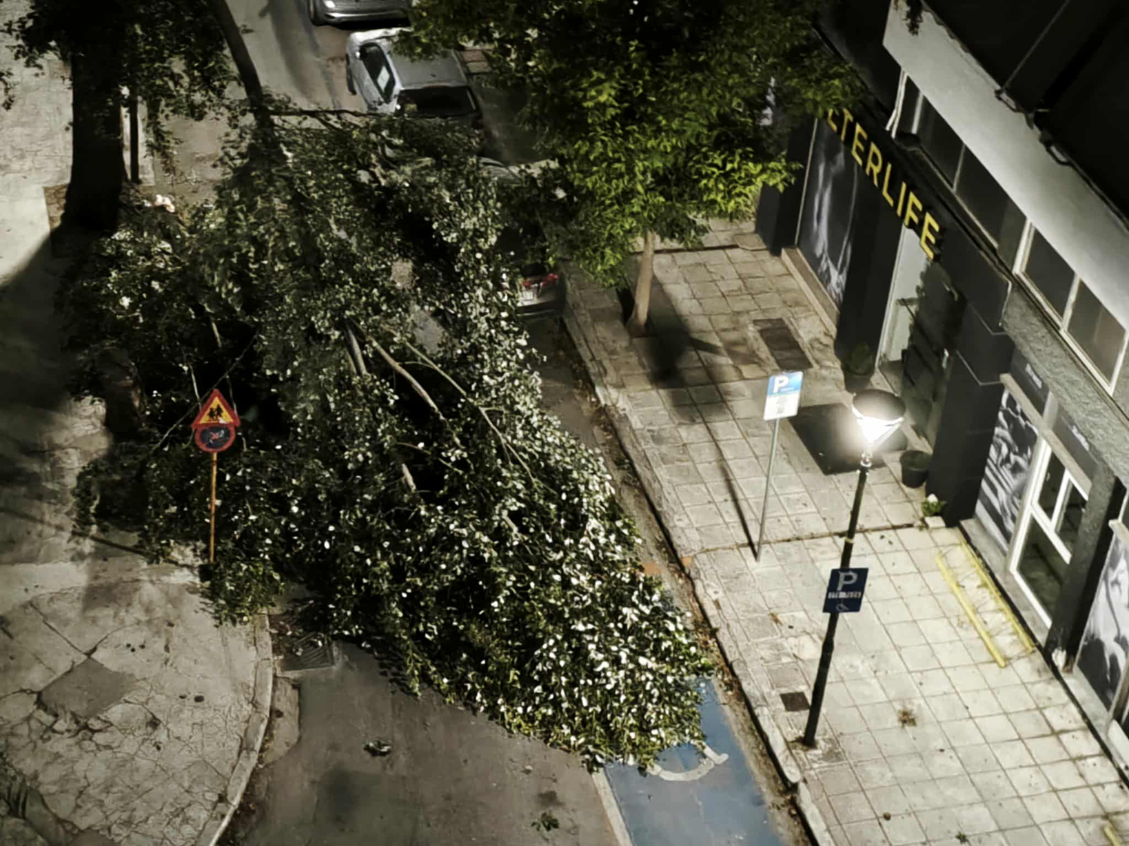 «Σάρωσαν» τον Βόλο οι ισχυροί άνεμοι: Πτώσεις δέντρων προκάλεσαν ζημιές σε ΙΧ (φώτο)