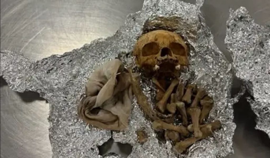 Φλόριντα: Ταξιδιώτης είχε μέσα σε αλουμινόχαρτο οστά ανθρώπινου σκελετού – Δείτε φωτογραφίες