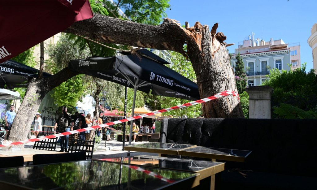 Aθήνα: Bίντεο ντοκουμέντο από την στιγμή της πτώσης του δέντρου στην πλατεία της Αγίας Ειρήνης