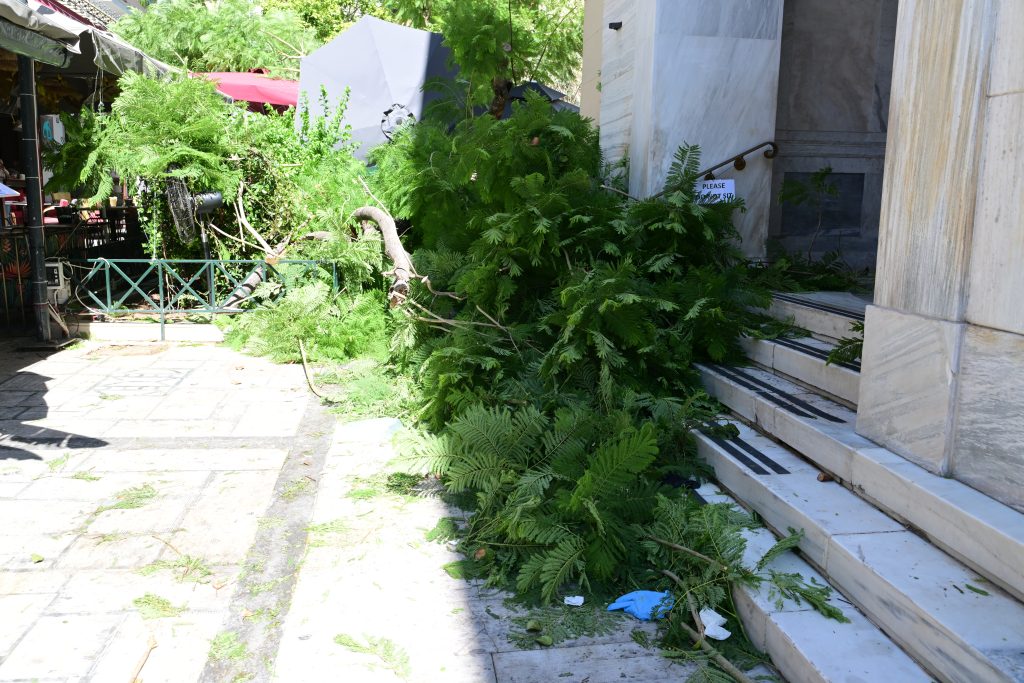 Η ανακοίνωση του Δήμου Αθηναίων για τις πτώσεις δέντρων και τον τραυματισμό δύο πολιτών