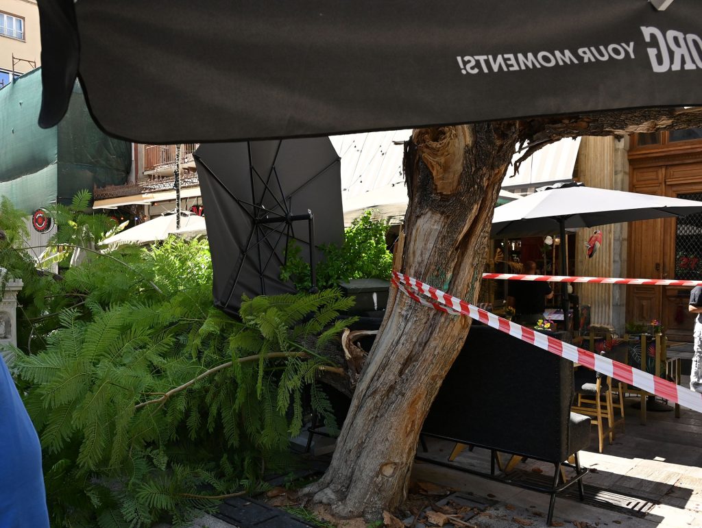 Πτώση δέντρου στην Αθήνα: «Νομίζαμε πως πέθανε η γυναίκα – Έβγαζε αίμα από το στόμα» λέει αυτόπτης μάρτυρας 