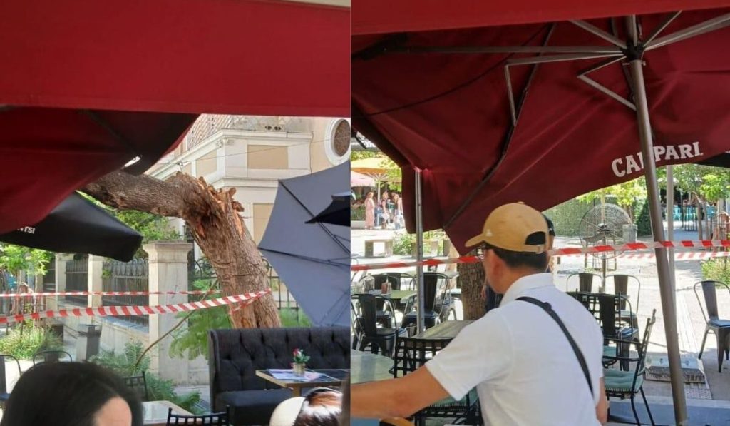 Αναστάτωση στο κέντρο της Αθήνας μετά από πτώση δέντρου – Τραυματίστηκαν δύο άτομα (φωτο)