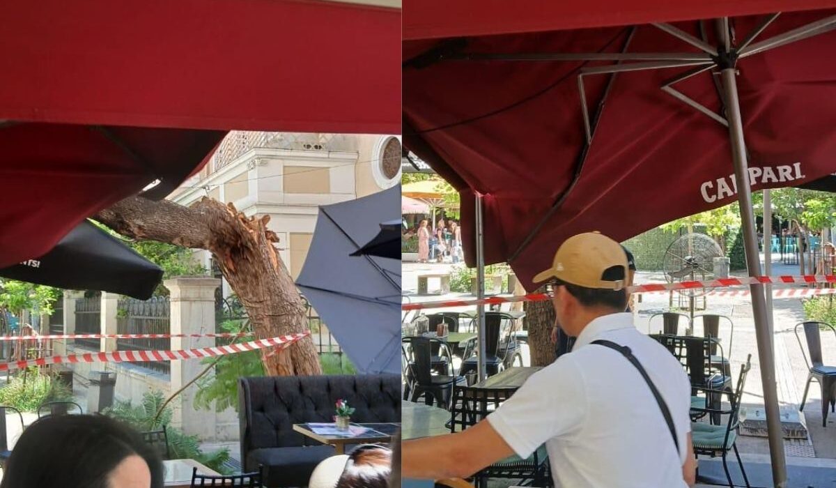 Αναστάτωση στο κέντρο της Αθήνας μετά από πτώση δέντρου – Τραυματίστηκαν δύο άτομα (φωτο)