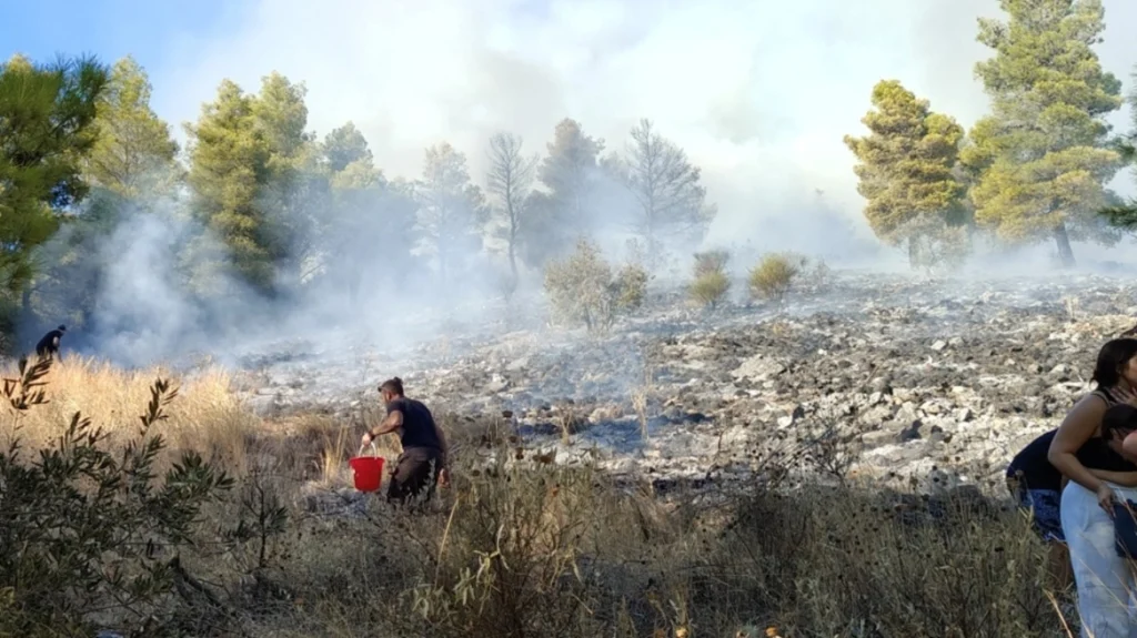 Μαγνησία: Πυρκαγιά ξέσπασε στον Άγιο Ονούφριο – «Σηκώθηκαν» 5 εναέρια μέσα