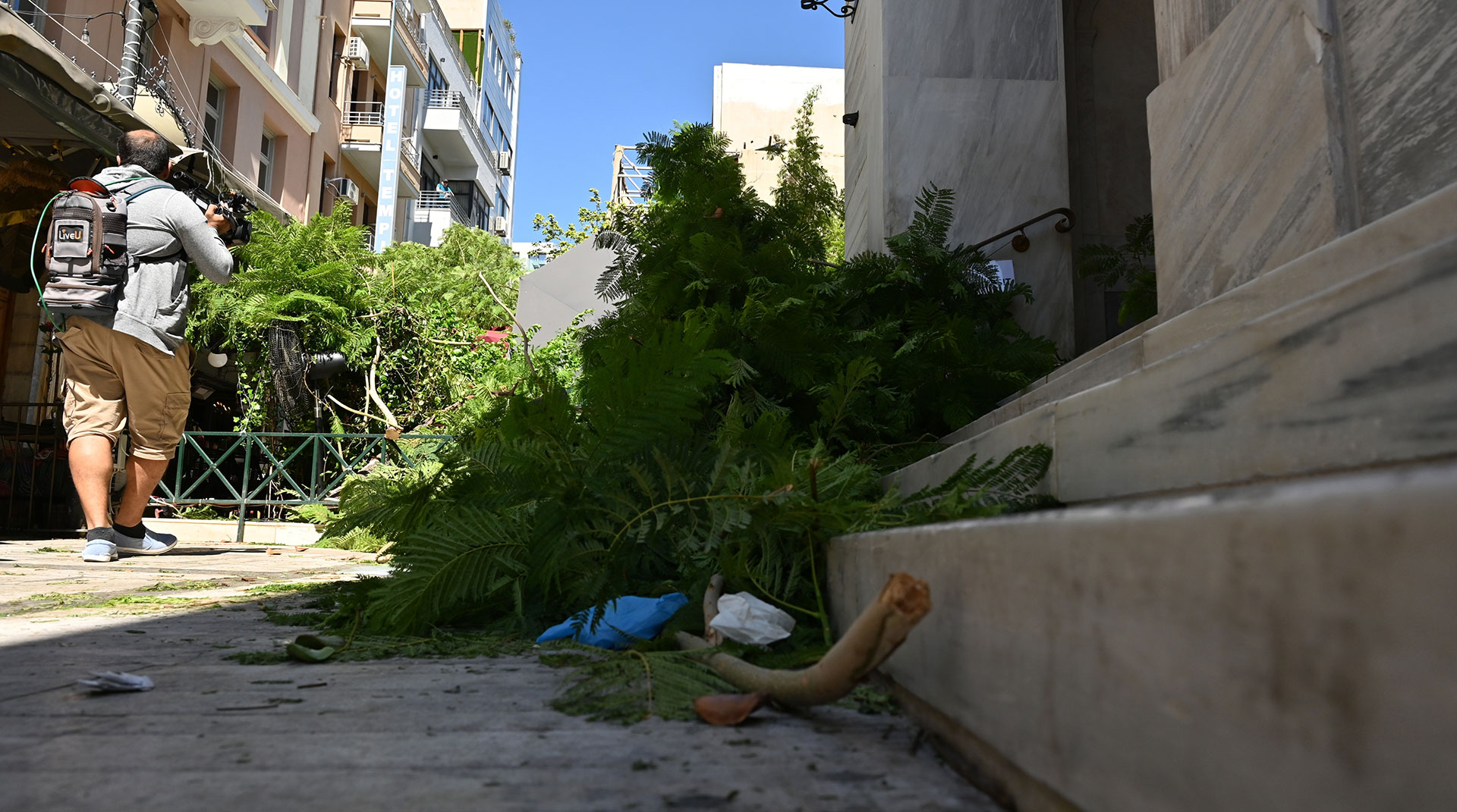 Πτώση δέντρου στο κέντρο της Αθήνας: «Έχασα πολύ αίμα και έκανα ράμματα», είπε η γυναίκα που τραυματίστηκε