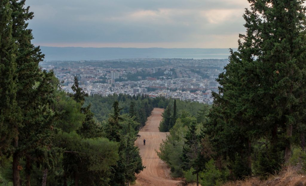 Σέιχ Σου: 51χρονος έσφαξε αρνί για να τιμήσει το κουρμπάνι