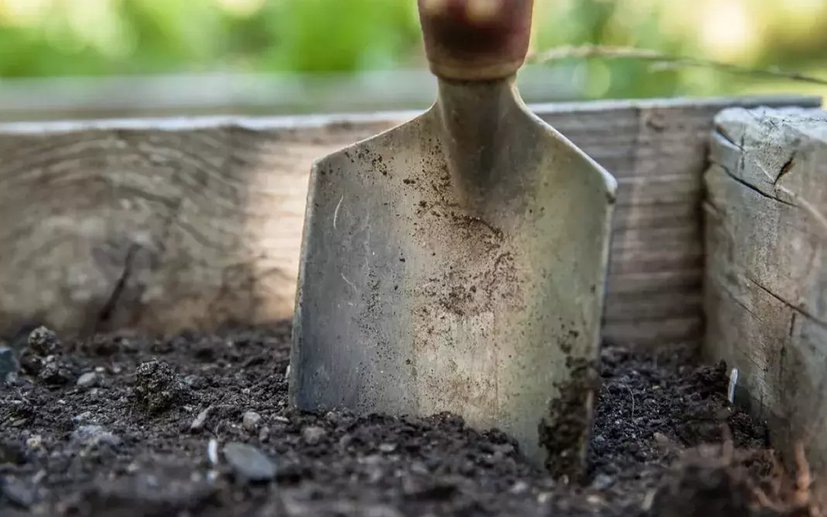 Γ.Λέων για υπόθεση Βοιωτίας: «Η 62χρονη μπορεί να μπερδεύτηκε και να έθαψε ζωντανή τη μητέρα της» (βίντεο)