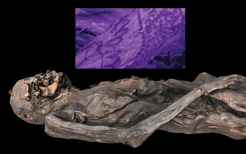 Νότια Σιβηρία: Βρέθηκε μούμια ηλικίας 2.500 ετών με αρχαία τατουάζ (βίντεο)