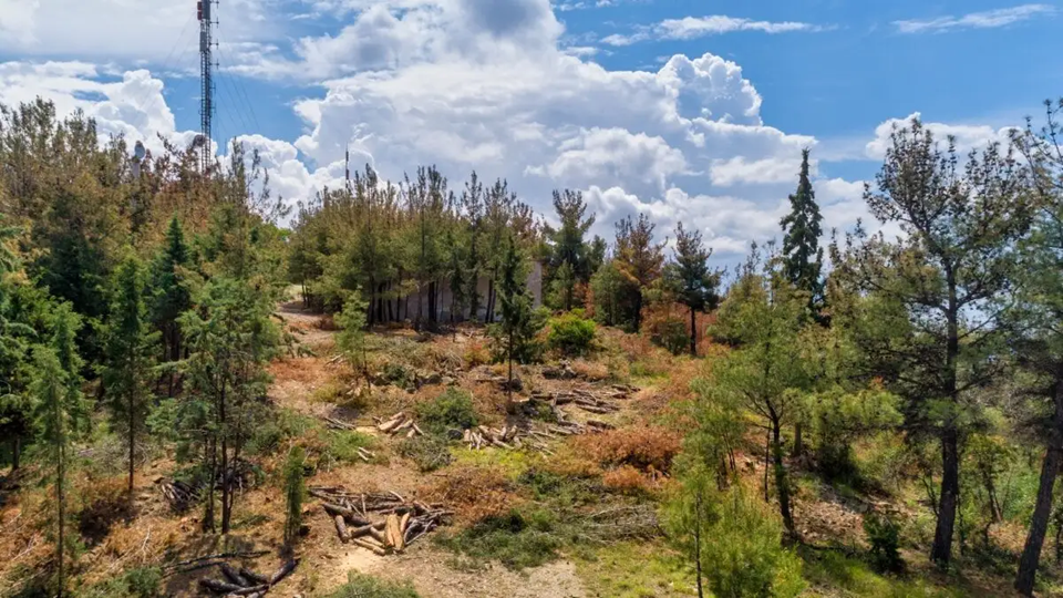 Θεσσαλονίκη: Ελεύθερος αφέθηκε ο 51χρονος που έσφαξε και έγδαρε αρνί στο Σέιχ Σου για να τιμήσει ένα έθιμο