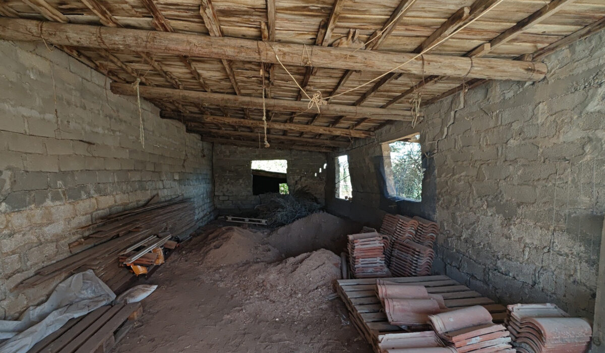 Υπόθεση Βοιωτίας: «Είχα να δω τη γιαγιά μου από τον Ιανουάριο του 2021» λέει ο γιος της 62χρονης