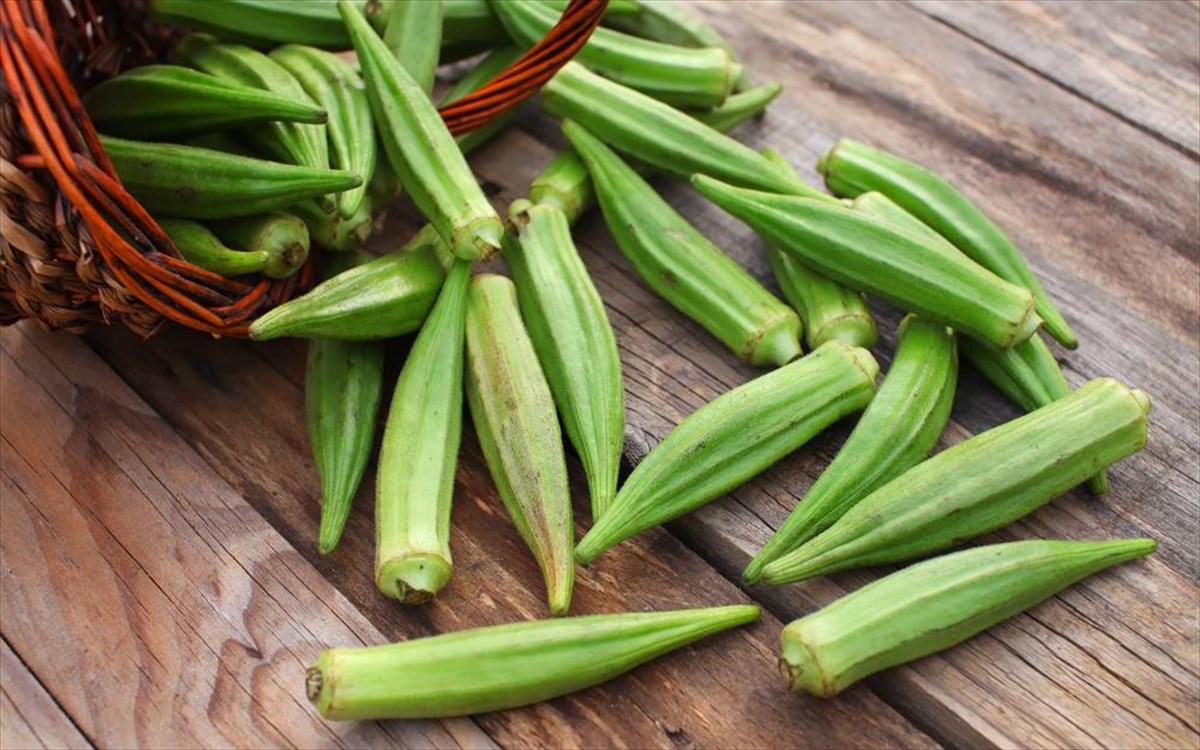Μπάμιες: Το λαχανικό που λίγοι τρώνε αλλά… μειώνει τη χοληστερόλη – Τα οφέλη για την υγεία