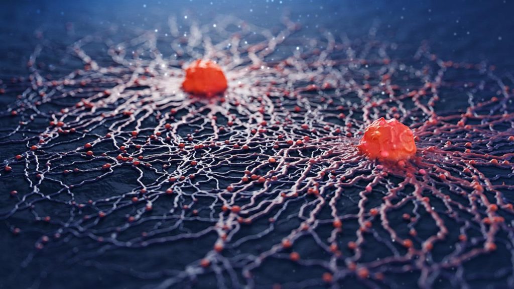 Νέα μελέτη: Τα επόμενα 25 χρόνια ο αριθμός των θανάτων από καρκίνο θα αυξηθεί κατά σχεδόν 75%