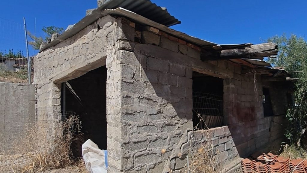 Νέες αποκαλύψεις για την υπόθεση της 62χρονης στη Βοιωτία: Tέσσερις επιδοτήσεις είχαν χορηγηθεί στην 91χρονη