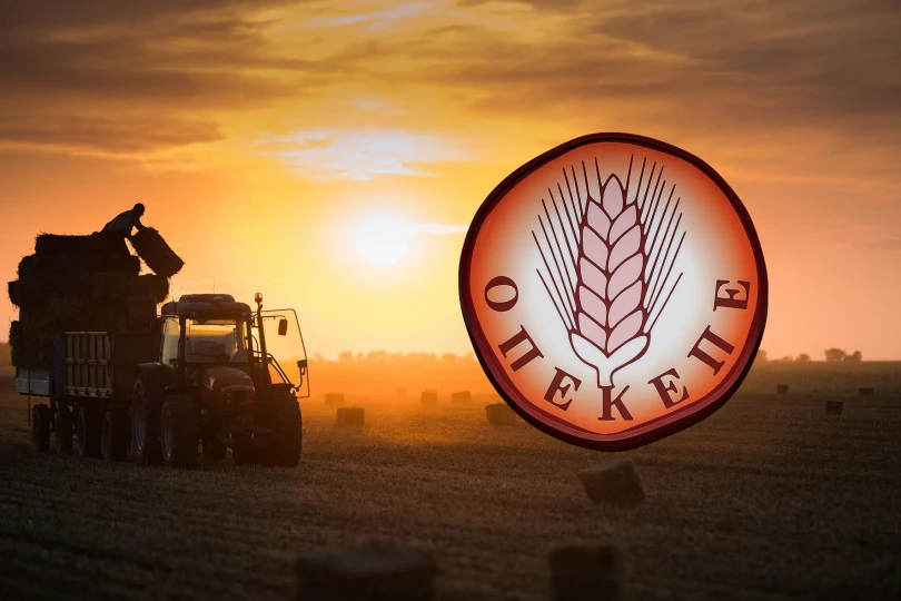 ΟΠΕΚΕΠΕ: Καταθέσεις-«φωτιά» στην Εξεταστική κατά της Π.Τυχεροπούλου «δεξιού χεριού» της Λ.Κοβέσι