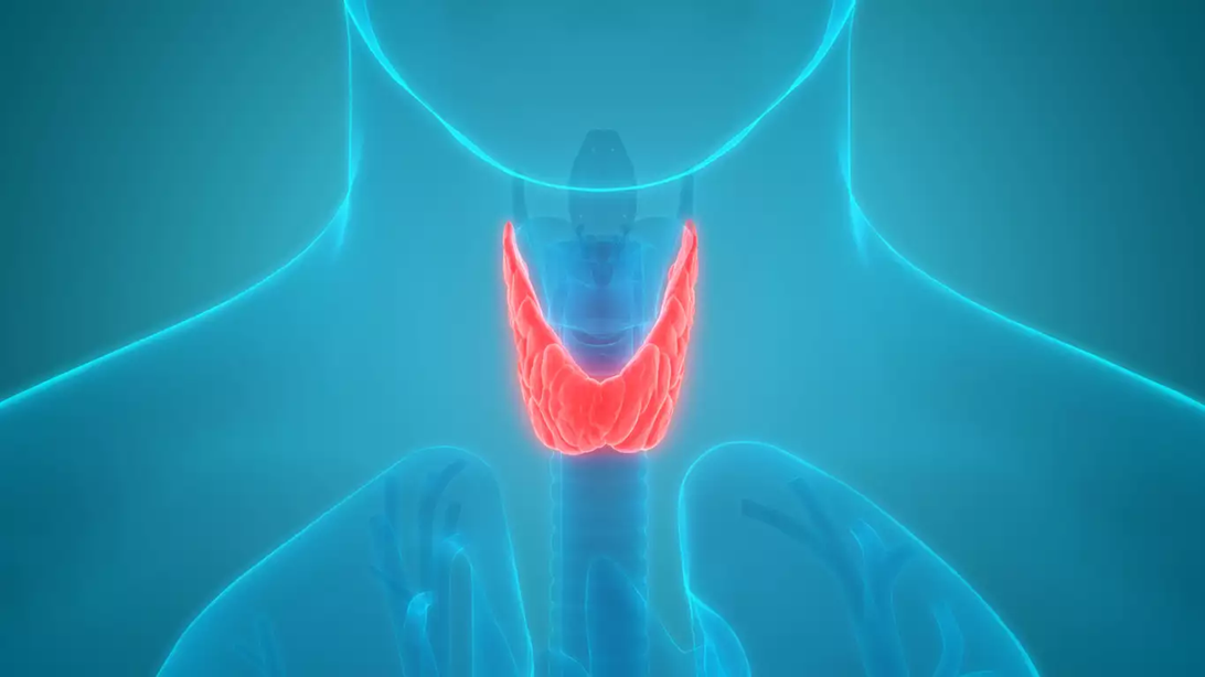 Υποθυρεοειδισμός: Δείτε ποια άλλα προβλήματα υγείας προκαλεί
