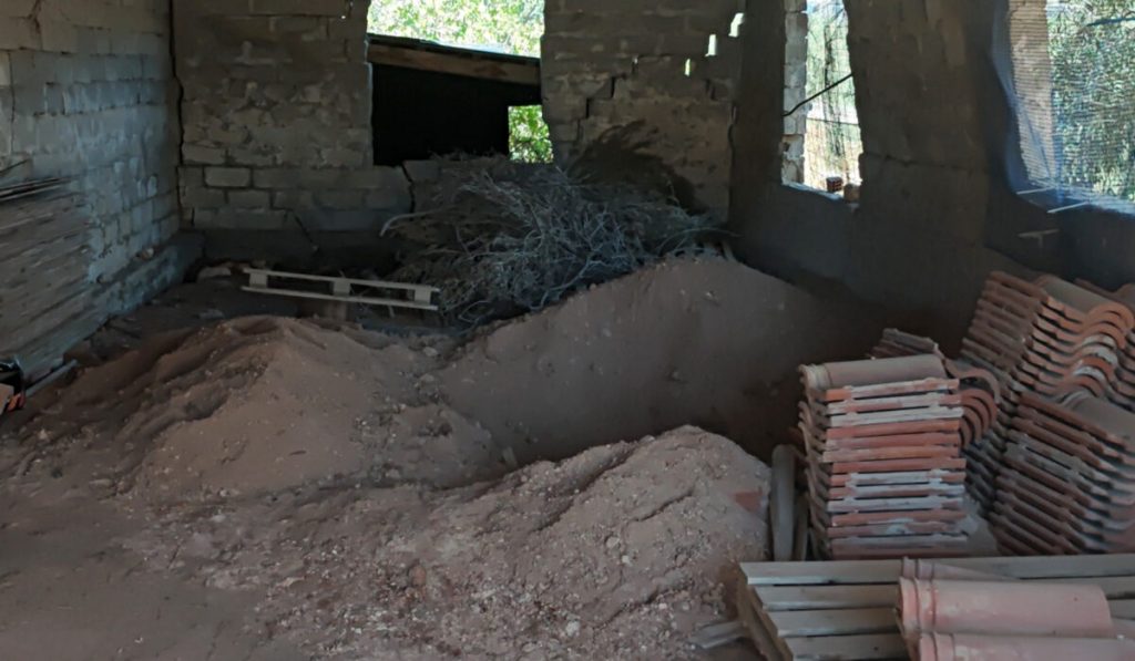 Υπόθεση 62χρονης στη Βοιωτία: Tι δείχνει το πόρισμα ανθρωπολόγου για τον θάνατο της 91χρονης