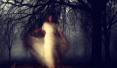 Από παιχνίδι σε εφιάλτη: Η φάρσα που κράτησε ζωντανό τον φόβο επί τριάντα χρόνια