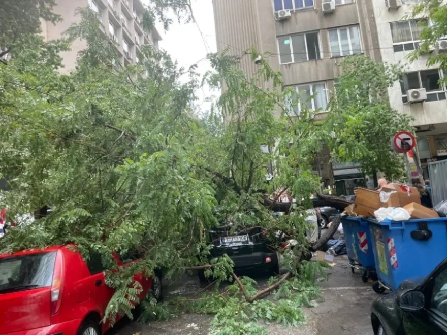 Kακοκαιρία: Προβλήματα σε πολλές περιοχές της Αττικής: Πλημμύρισαν δρόμοι και ξεριζώθηκαν δέντρα (φωτο)