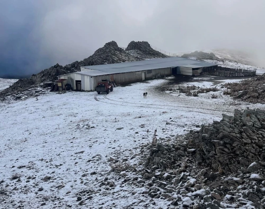 Γρεβενά: Έπεσαν τα πρώτα χιόνια στη Σαμαρίνα – Εγκλωβίστηκαν κτηνοτρόφοι (βίντεο)