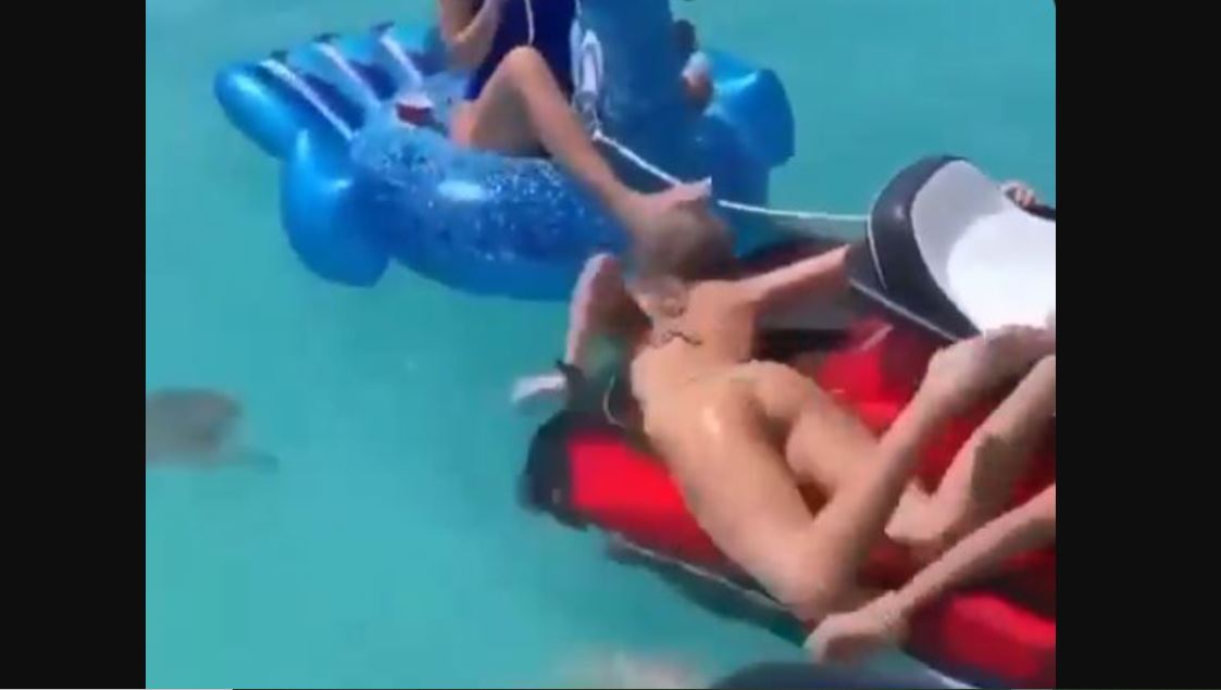 Τουρίστρια σπεύδει «όπως όπως» να γλυτώσει προτού την δαγκώσει τεράστια θαλάσσια χελώνα – Δείτε βίντεο