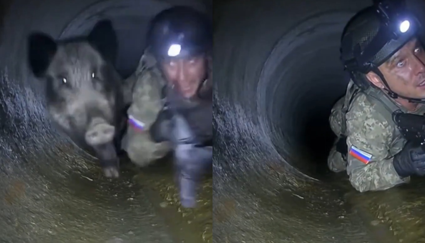 Βίντεο: Ρώσος στρατιώτης βρίσκεται σε υπόγεια σήραγγα κάτω από το Κουπιάνσκ μαζί με ένα… αγριογούρουνο