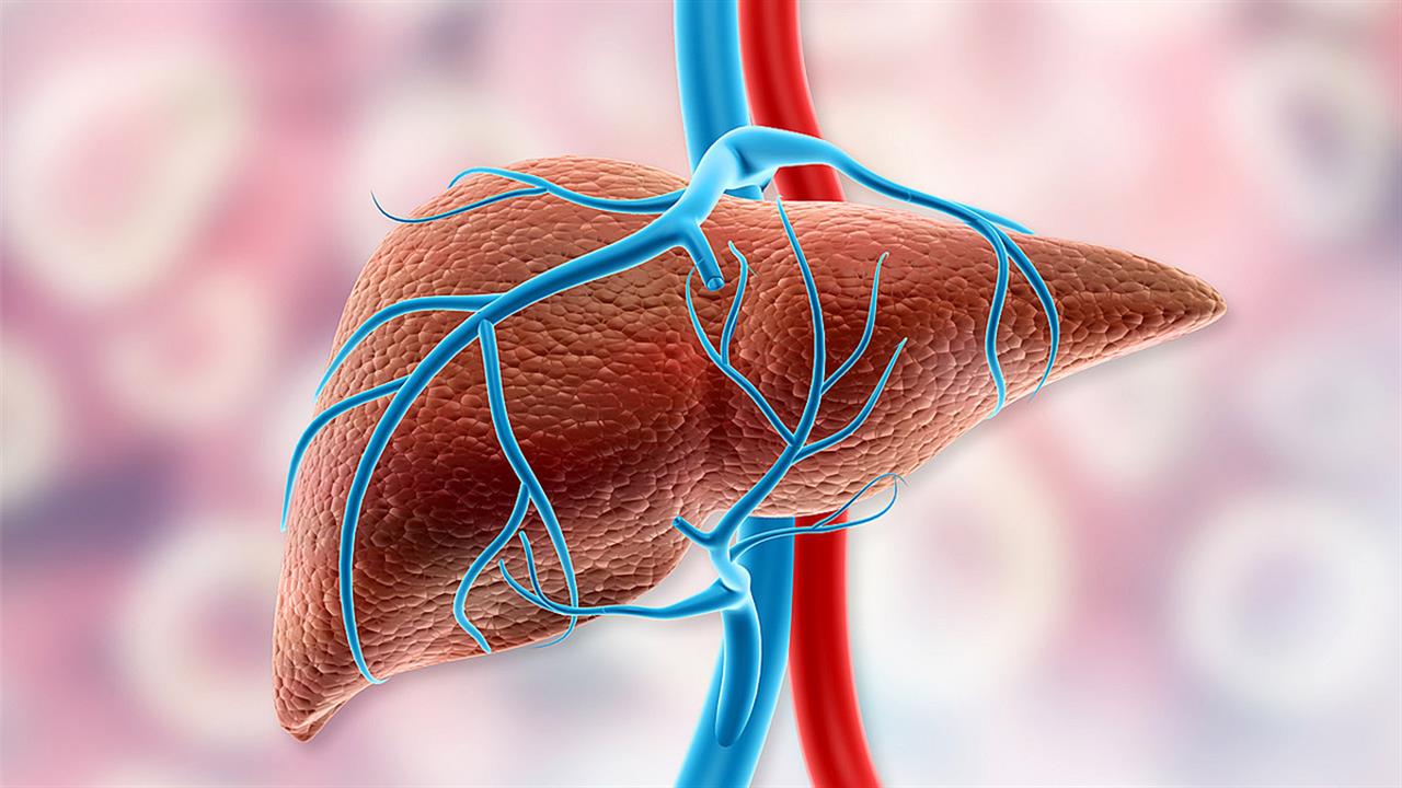 Στην Κίνα η πρώτη μεταμόσχευση ήπατος από γουρούνι σε άνθρωπο – Πόσο καιρό έζησε ο ασθενής