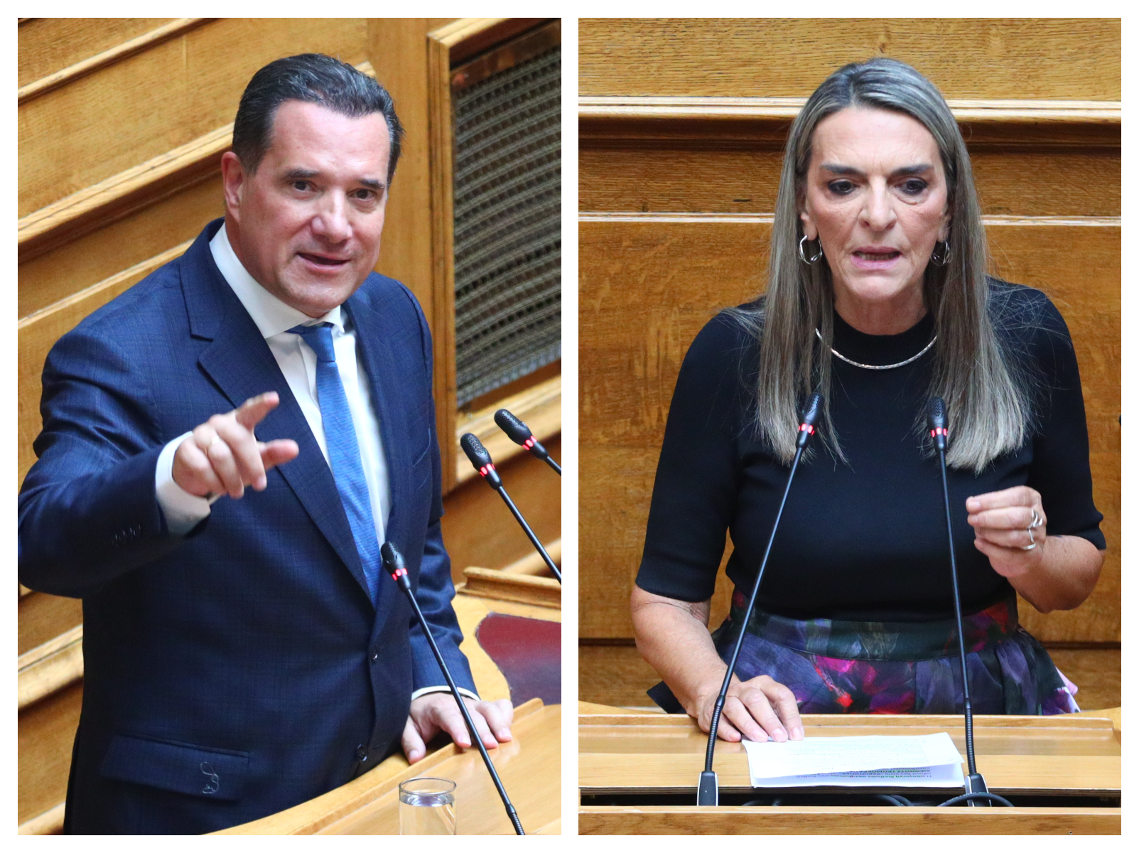 «Σύγκρουση» Α.Γεωργιάδη – Π.Πέρκα στη Βουλή για τον στολίσκο για τη Γάζα: «Πήγατε για τις selfies»