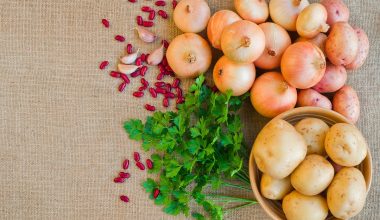 Τα τρόφιμα που δεν πρέπει να βάζετε στο ψυγείο – και όλοι τα βάζουν