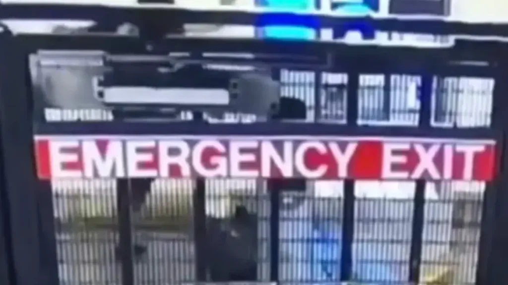 Βίντεο: Η στιγμή που 25χρονος κλωτσά μέχρι θανάτου στο κεφάλι 64χρονο στο μετρό της Νέας Υόρκης