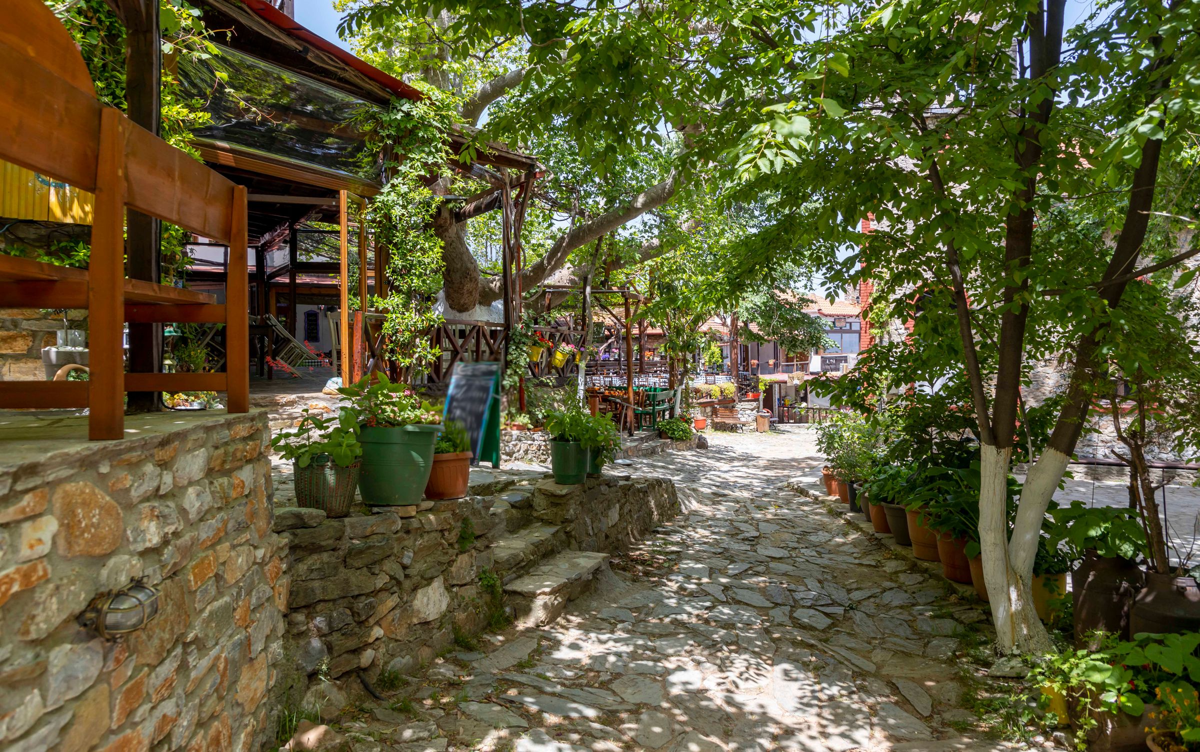 Παλαιός Παντελεήμονας: Το στολίδι στις πλαγιές του Ολύμπου