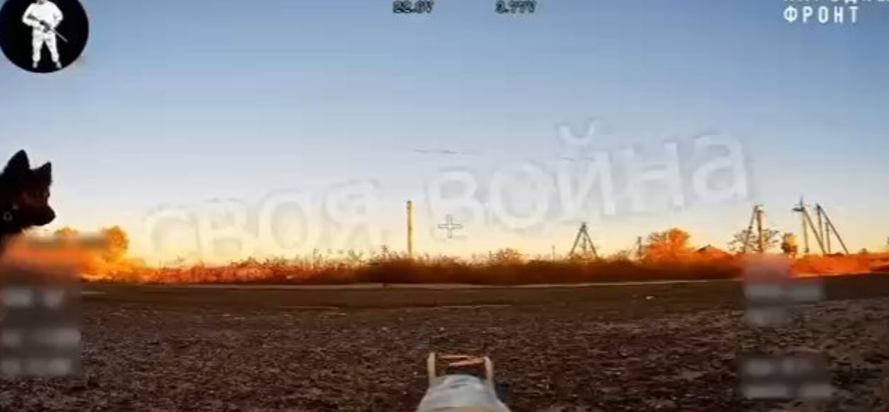 Χερσώνα: Σκύλος ούρησε FPV που περίμενε στο έδαφος για να πλήξει αντίπαλο στόχο – Δείτε βίντεο