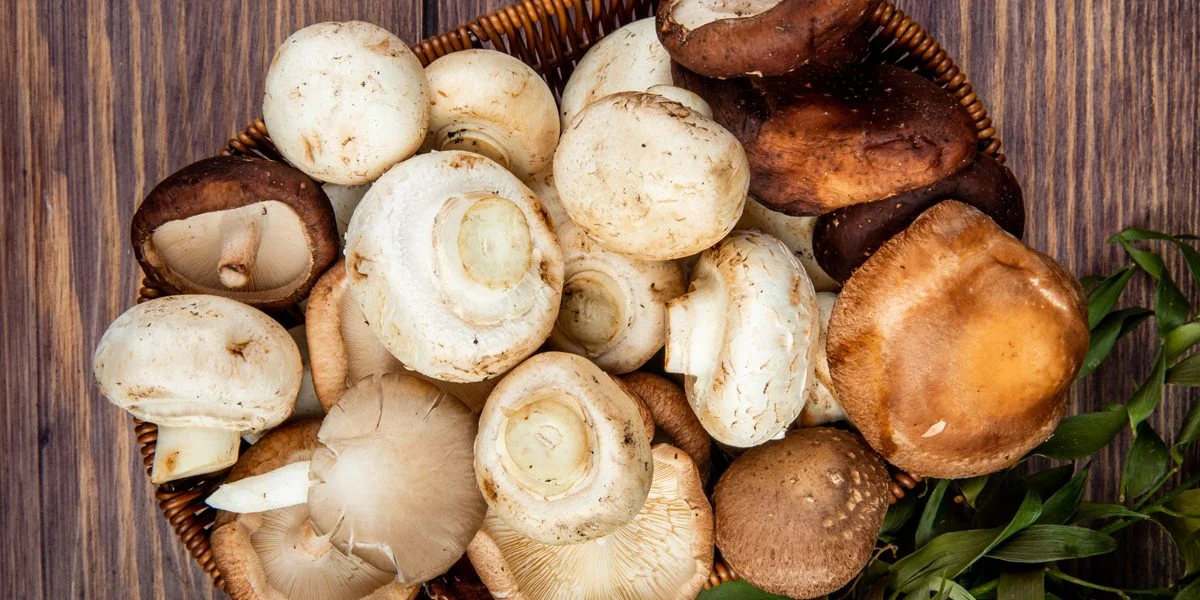 Μανιτάρια: Πώς μπορούν να επηρεάσουν τη λειτουργία της καρδιάς