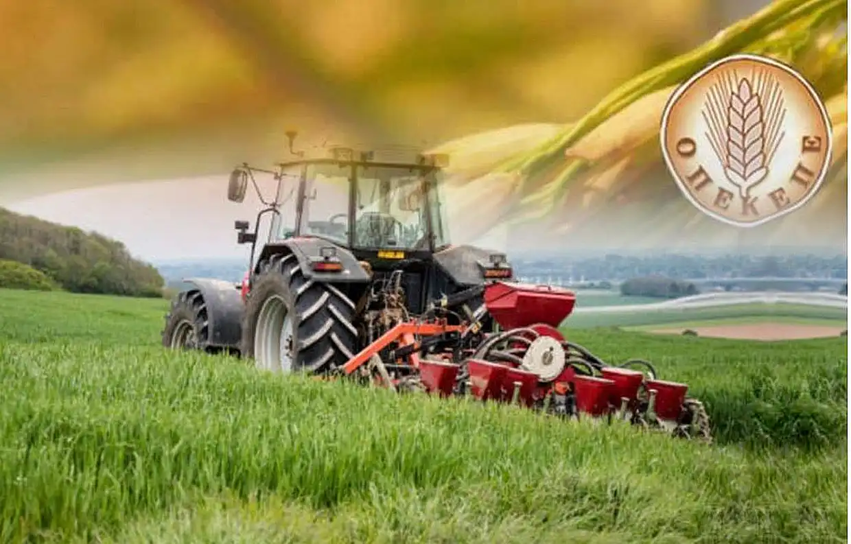 ΟΠΕΚΕΠΕ: DJ, υπάλληλοι και σερβιτόροι μέσα στο κόλπο – Πώς παρίσταναν τους αγρότες και έπαιρναν τις επιδοτήσεις