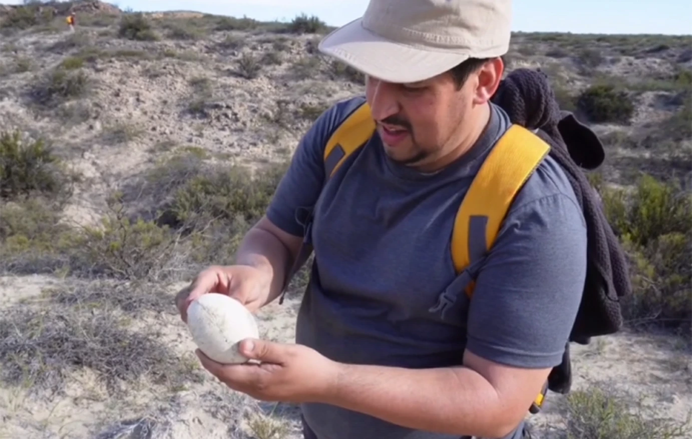 Παταγονία: Ερευνητές εντόπισαν άθικτο αυγό δεινοσαύρου ηλικίας 70 εκατ. ετών