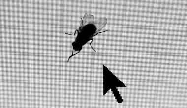 Κι όμως: Το πρώτο bug σε υπολογιστή ήταν όντως ένα έντομο