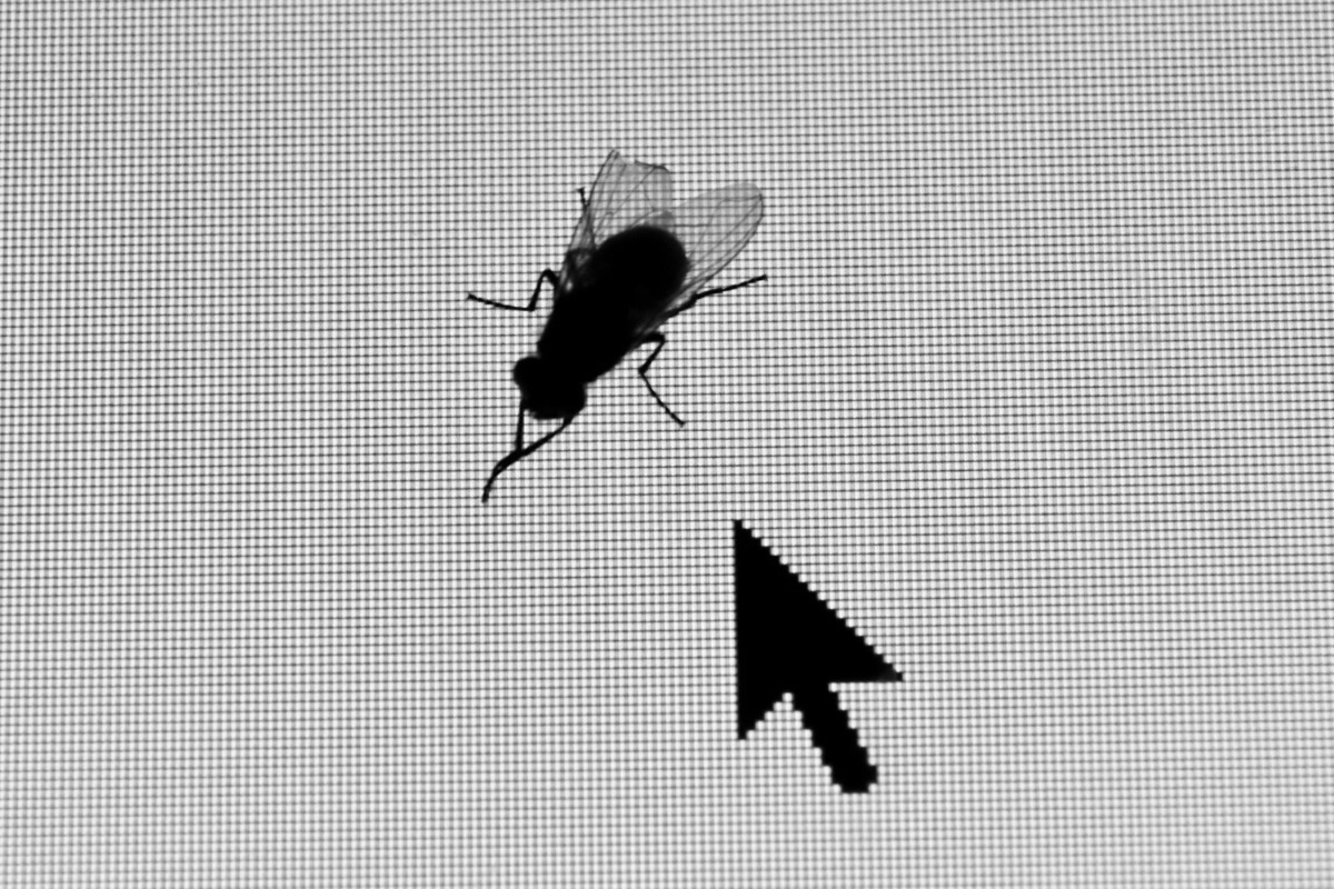 Κι όμως: Το πρώτο bug σε υπολογιστή ήταν όντως ένα έντομο