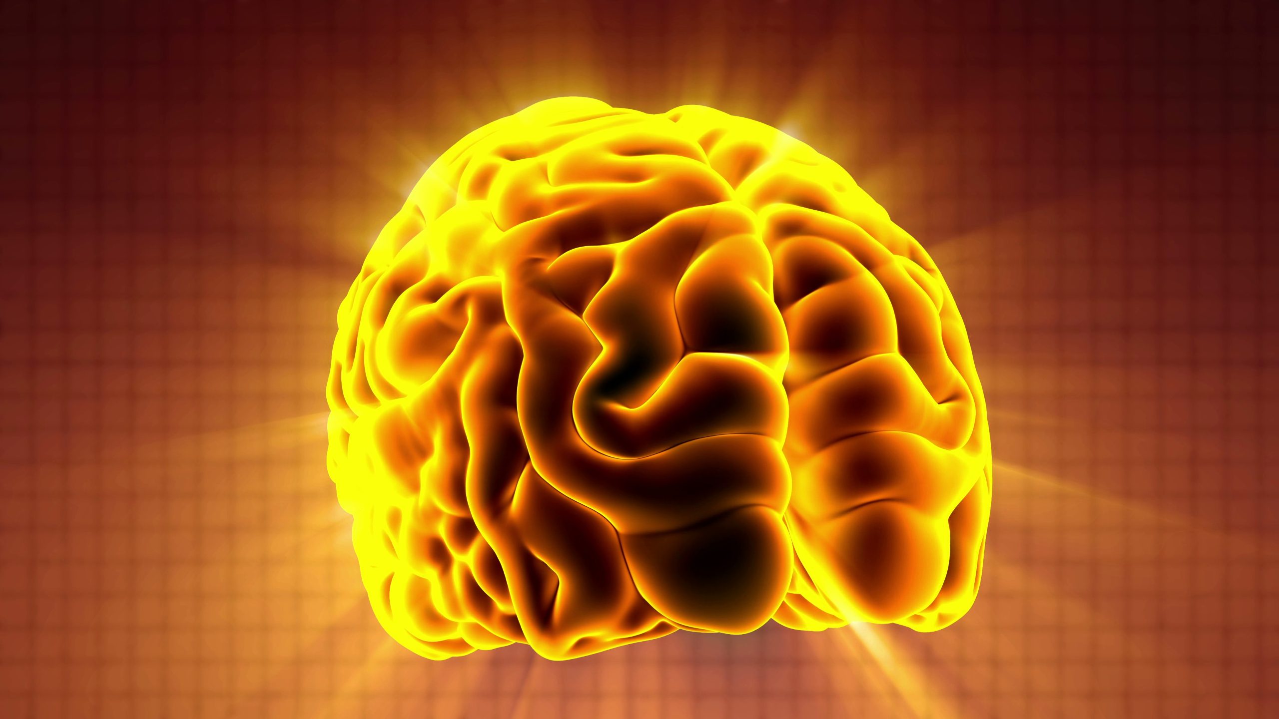 Νέα έρευνα: Ο εγκέφαλος του άνδρα συρρικνώνεται πιο γρήγορα από αυτόν της γυναίκας