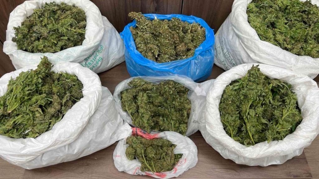 Ρέθυμνο: Χειροπέδες σε τέσσερα άτομα για 14 κιλά κάνναβης – Ανάμεσά τους και ένας 17χρονος (φωτο)