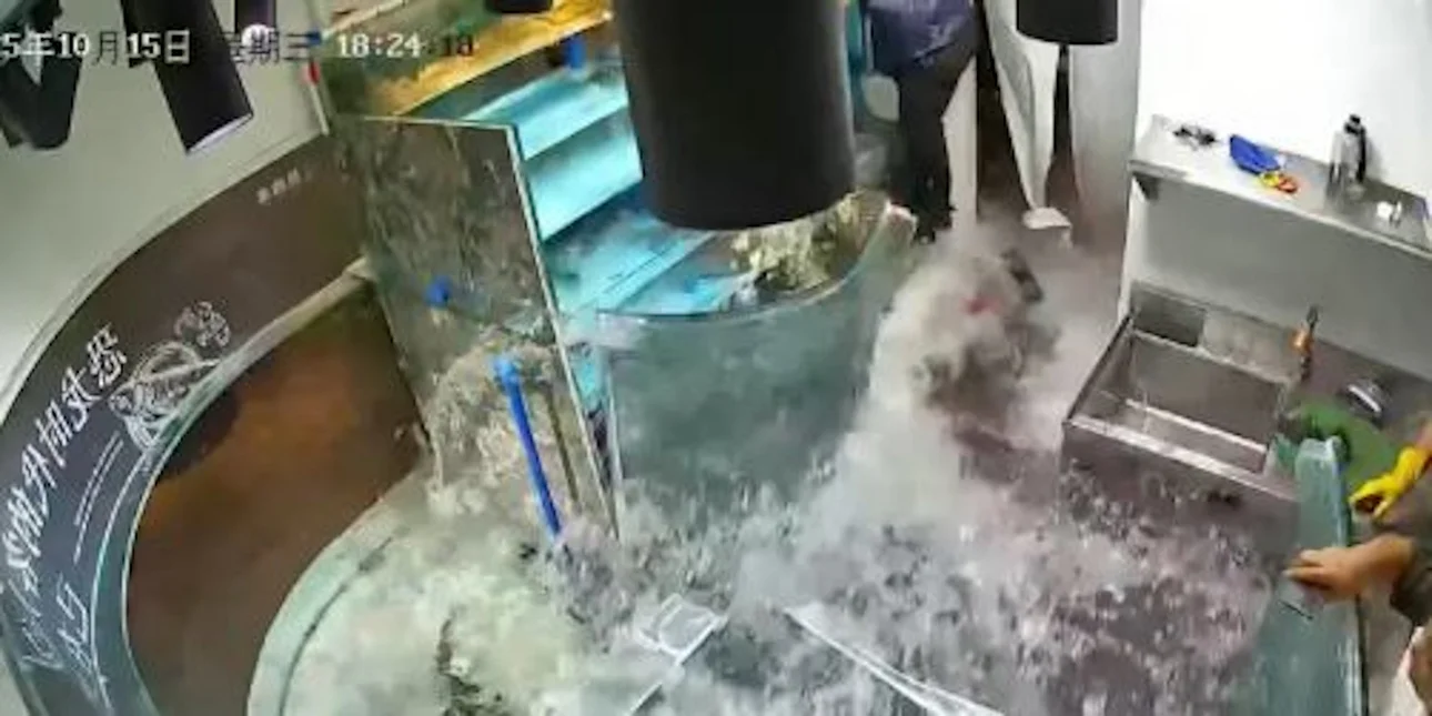 Κίνα: Έσπασε ενυδρείο μέσα σε εστιατόριο και η αίθουσα γέμισε με δεκάδες ζωντανά ψάρια (φώτο)