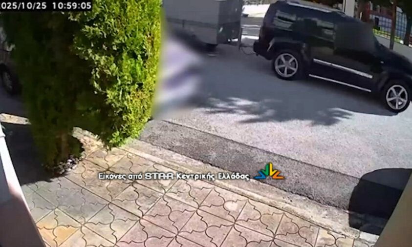 Λαμία: Μητέρα και κόρη έκλεψαν πόνυ που βρισκόταν στη μέση του δρόμου – Δείτε βίντεο