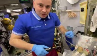 Βίντεο: Ρώσοι κοσμοναύτες φτιάχνουν σαλάτα Ολιβιέρ σε Αμερικανίδα συνάδελφό τους που έχει γενέθλια