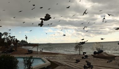 O καιρός σήμερα: Νεφώσεις και τοπικές βροχές – Αναλυτικά η πρόγνωση για όλη τη χώρα